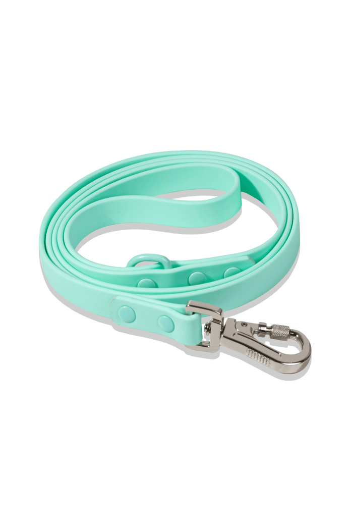 Waterproof Dog Leash - Turquoise - Sharper Barker