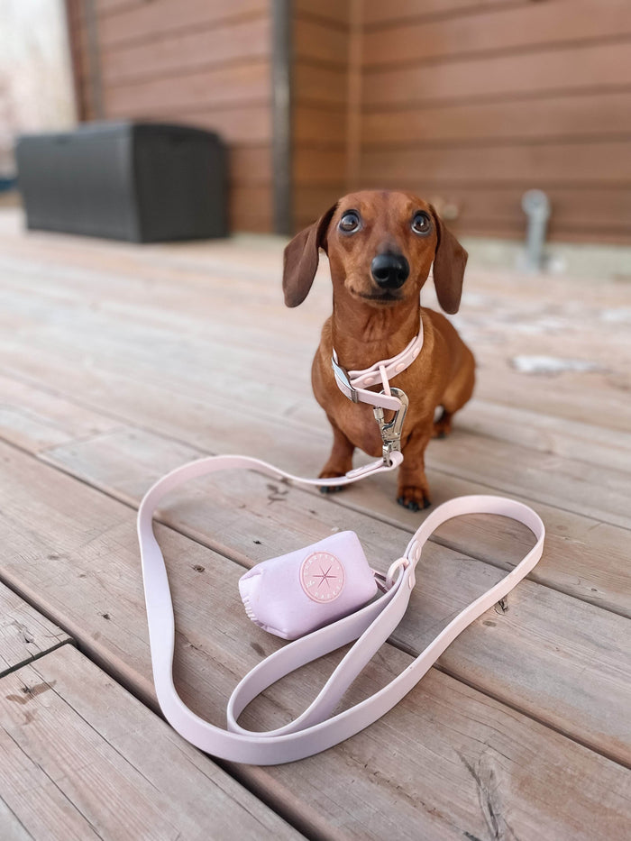 Waterproof Dog Leash - Baby Lilac - Sharper Barker