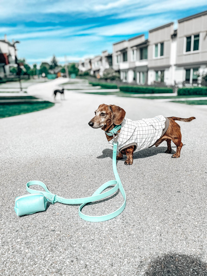 Waterproof Dog Leash - Turquoise - Sharper Barker