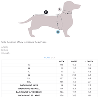 Sunset Stripes Pink & White Striped Dog Shirt โ Lightweight & Breathable Dog Tee for Stylish Pups - Sharper Barker