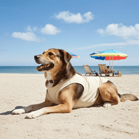 Beige UV Protection Dog Shirt โ Lightweight Rash Guard for Summer Adventures - Sharper Barker