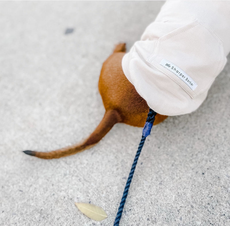 Why Bamboo Dog Hoodies are the Best Choice