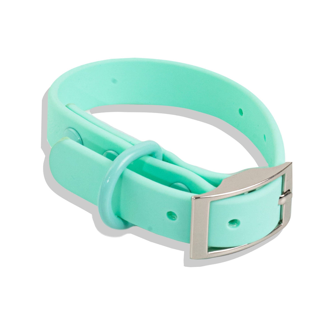 Waterproof Dog Collar - Turquoise