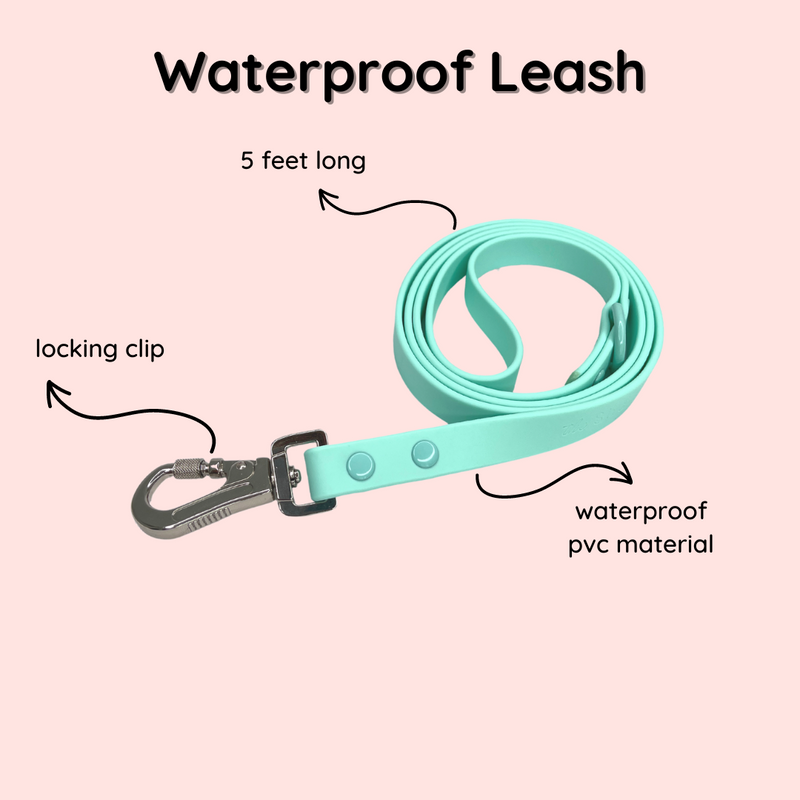 waterproof dog leash, dog leash features, pvc dog leash, 5 foot dog leash, turquoise dog leash