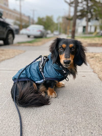 Rain Jacket & Windbreaker, Midnight