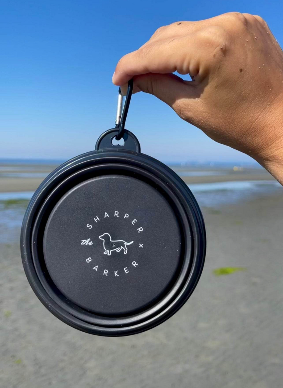Travel Bowl