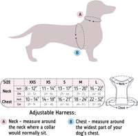 Sunshine Yellow Harness - Sharper Barker