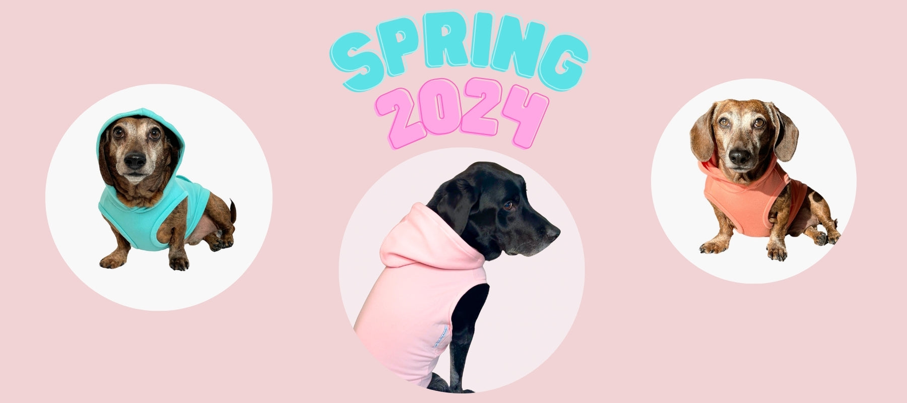 Pet 2024 clothing canada