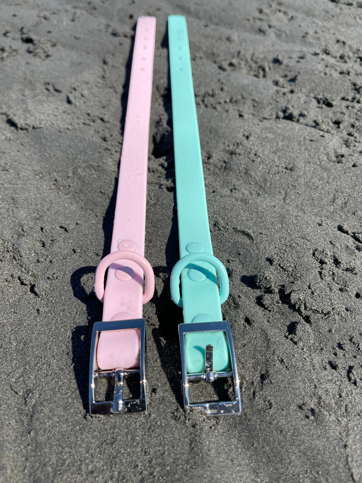 Waterproof Dog Collar - Turquoise