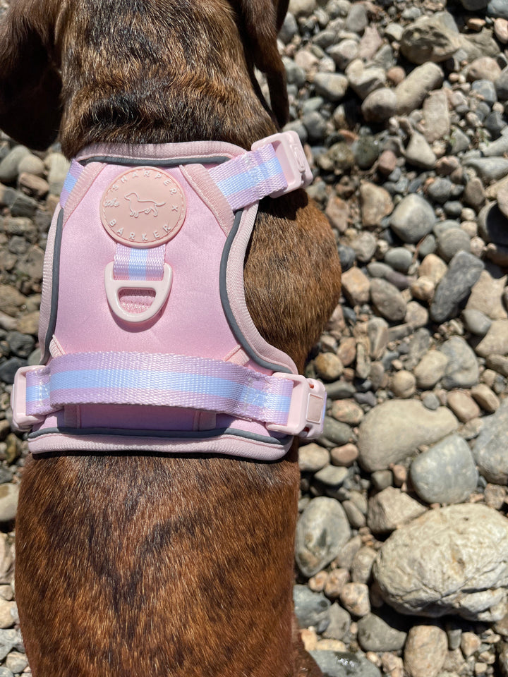 Comfort Harness - Baby Lilac