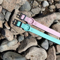 Waterproof Dog Collar - Turquoise  (end of line)