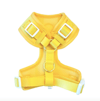 Sunshine Yellow Harness - Sharper Barker
