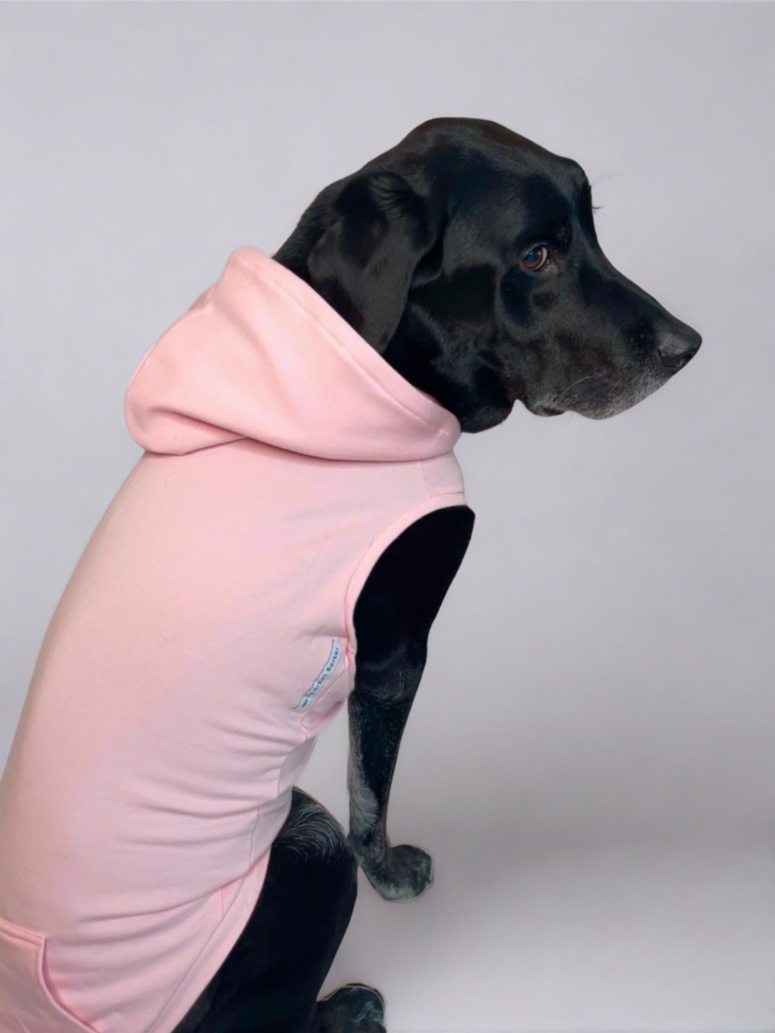 Quality Dog Clothes Made in Canada Sharper Barker