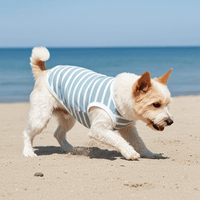 Seaside Stripes Sage Blue & White Striped Dog Shirt – Lightweight Summer Dog Tee for Small to Large Breeds - Sharper Barker