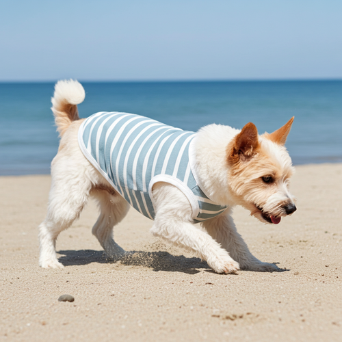 Dog wearing a striped shirt on a sandy beach with ocean in the background