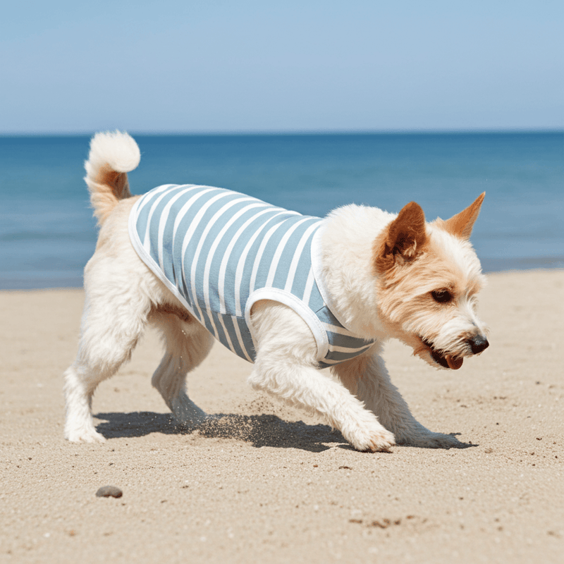 Seaside Stripes Sage Blue & White Striped Dog Shirt – Lightweight Summer Dog Tee for Small to Large Breeds - Sharper Barker