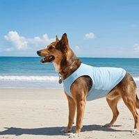 Blue UV Sun Shirt for Dogs – Protective Dog Rashie for Outdoor Fun - Sharper Barker
