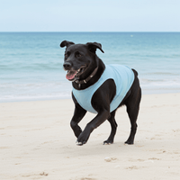 Blue UV Sun Shirt for Dogs – Protective Dog Rashie for Outdoor Fun - Sharper Barker