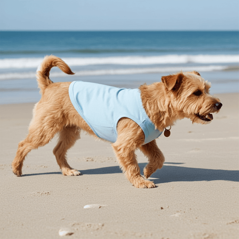 Blue UV Sun Shirt for Dogs – Protective Dog Rashie for Outdoor Fun - Sharper Barker