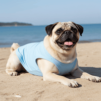 Blue UV Sun Shirt for Dogs – Protective Dog Rashie for Outdoor Fun - Sharper Barker