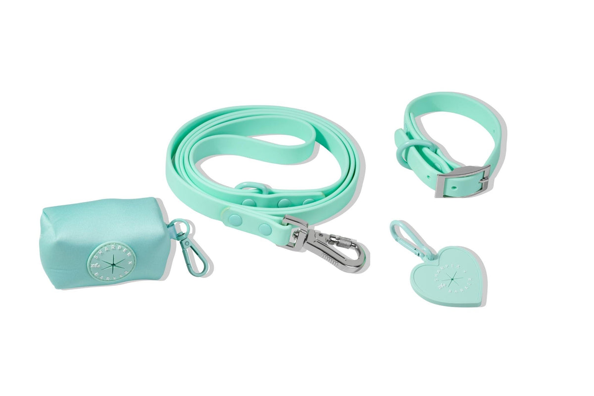 Waterproof Dog Leash - Turquoise