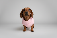 Fleece Dog Pullover