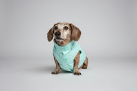 dog puffer coat in turquoise