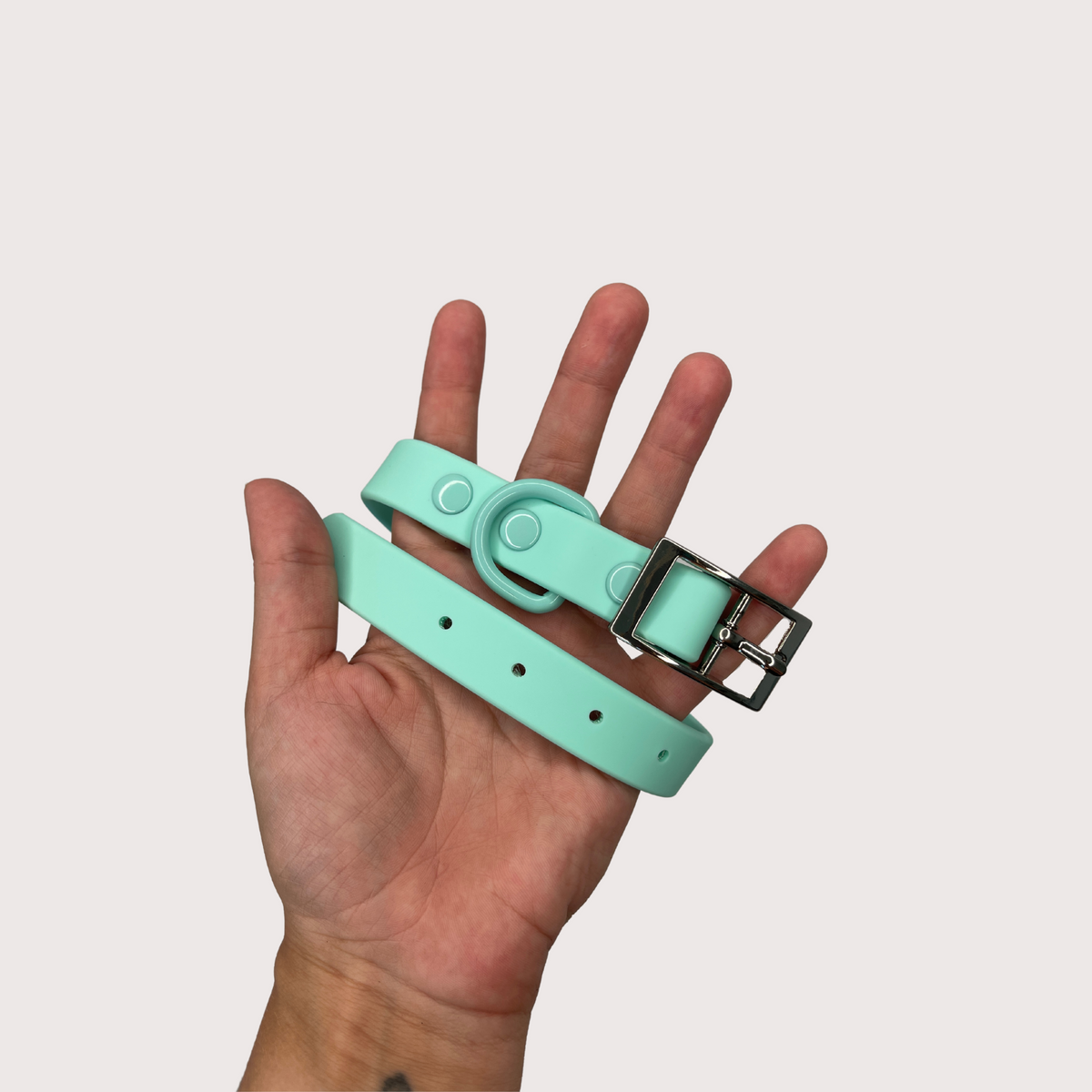 Waterproof Dog Collar - Turquoise  (end of line)