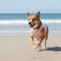 Lilac UV Sun Protection Shirt for Dogs – Lightweight Dog Rash Guard for Outdoor Protection - Sharper Barker
