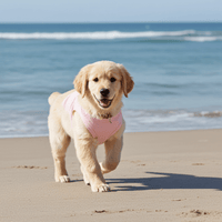 Lilac UV Sun Protection Shirt for Dogs – Lightweight Dog Rash Guard for Outdoor Protection - Sharper Barker