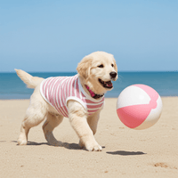 Sunset Stripes Pink & White Striped Dog Shirt – Lightweight & Breathable Dog Tee for Stylish Pups - Sharper Barker
