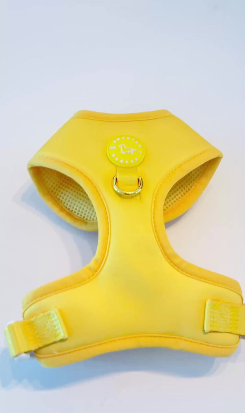 Sunshine Yellow Harness