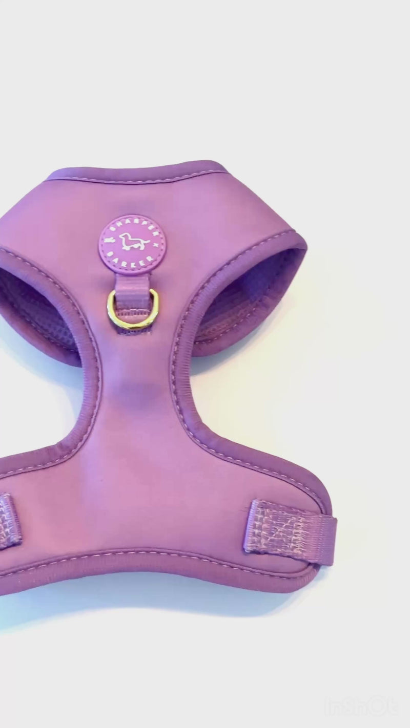 Lilac Purple Harness