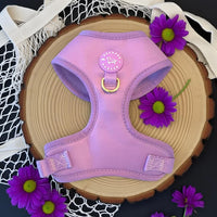 Adjustable Dog Harness Yellow