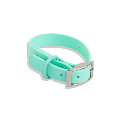 Waterproof Dog Collar - Turquoise