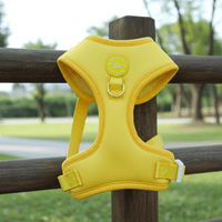 Sunshine Yellow Harness - Sharper Barker