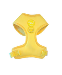 Sunshine Yellow Harness - Sharper Barker
