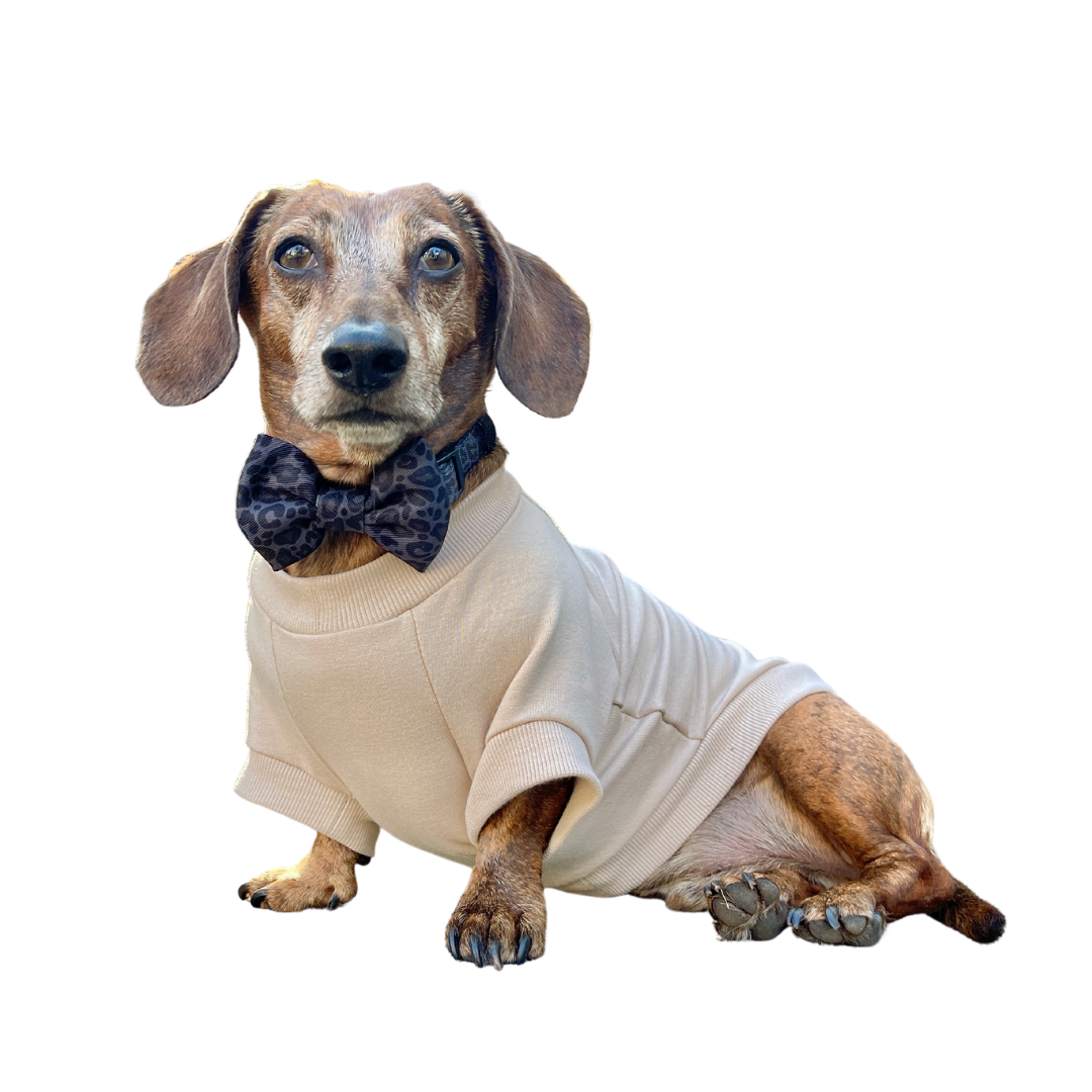 Fleece Dog Crew Sweatshirt (CLEARANCE - FINAL SALE)