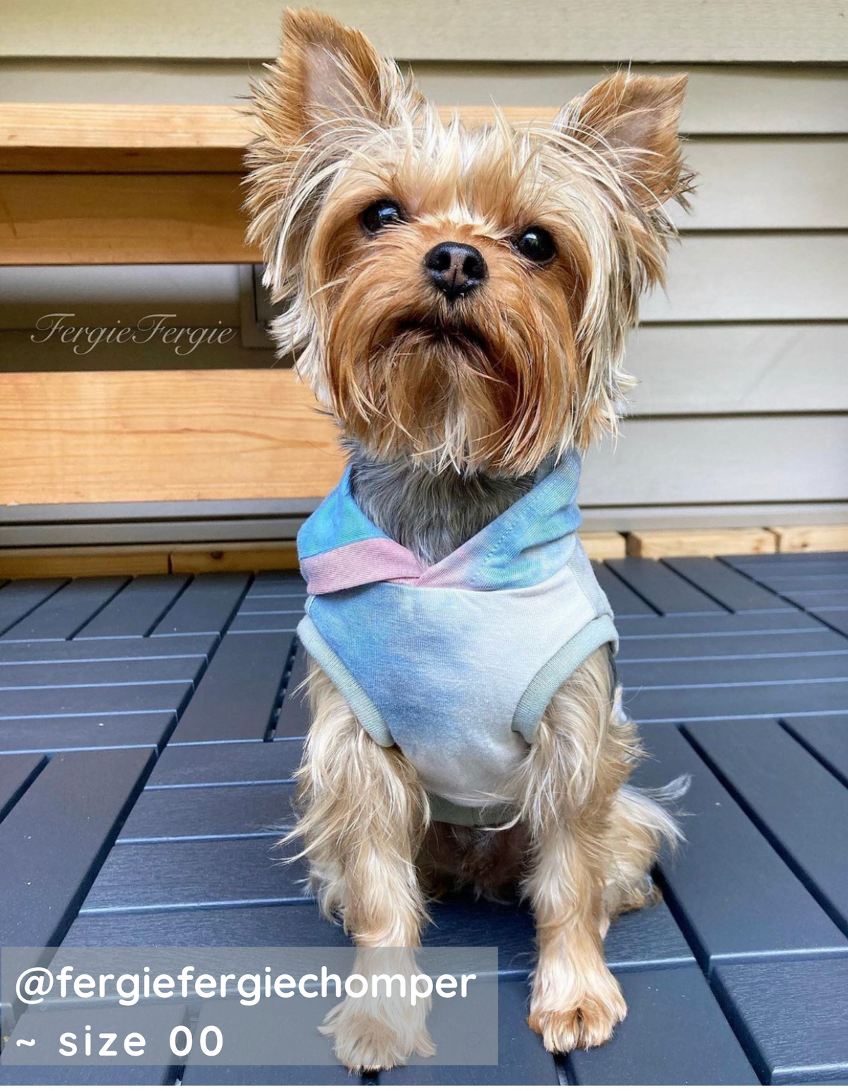 tie dye dog hoodies