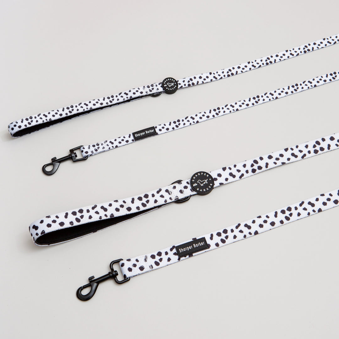 Comfort Handle Dog Leash - Lucky Dalmatian Print