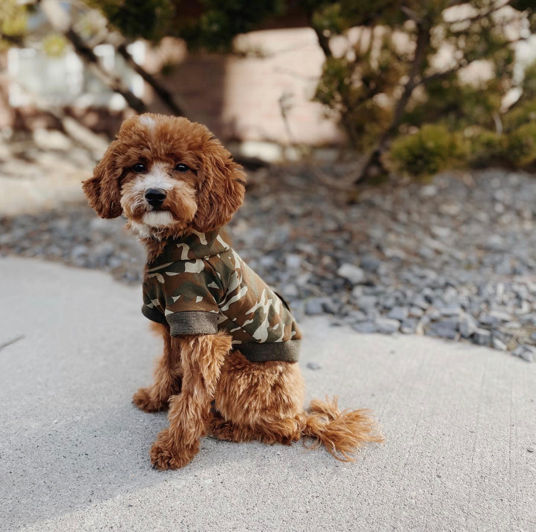 doodle clothes, dog apparel, dog hoodie, camo dog sweater, camouflage dog hoodie