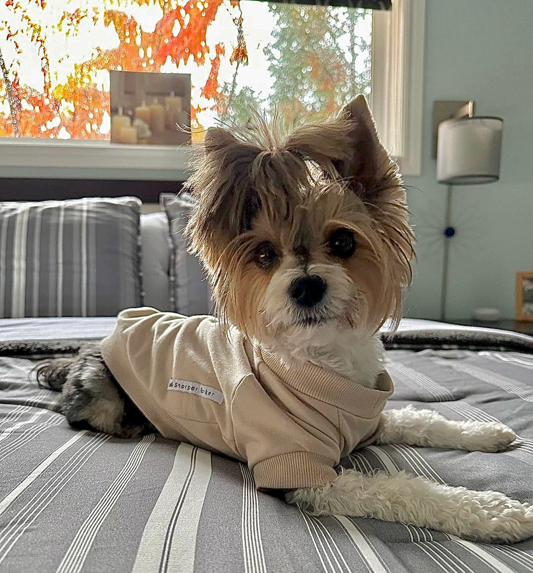 Fleece Dog Crew Sweatshirt (CLEARANCE - FINAL SALE)