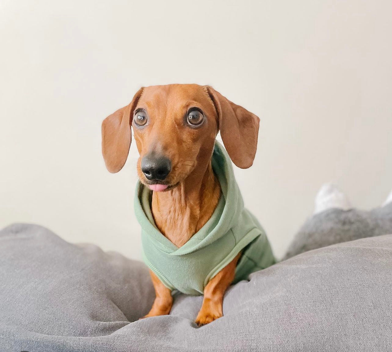 Olive Hoodie Sharper Barker