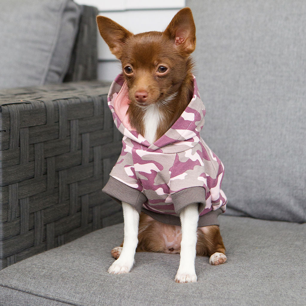 Chihuahua Hoodie - Pink Chihuahua Hoodie - Pink