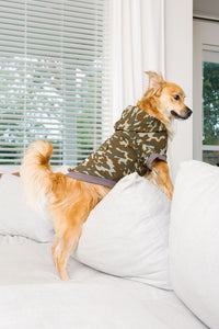 camo print dog clothes, best dog hoodies, green dog hoodie, sweaters for dogs